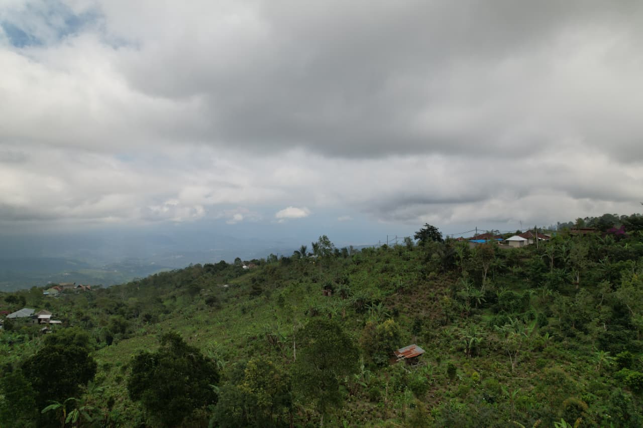 WhatsApp Image 2026 01 08 at 00.21.50 (1)