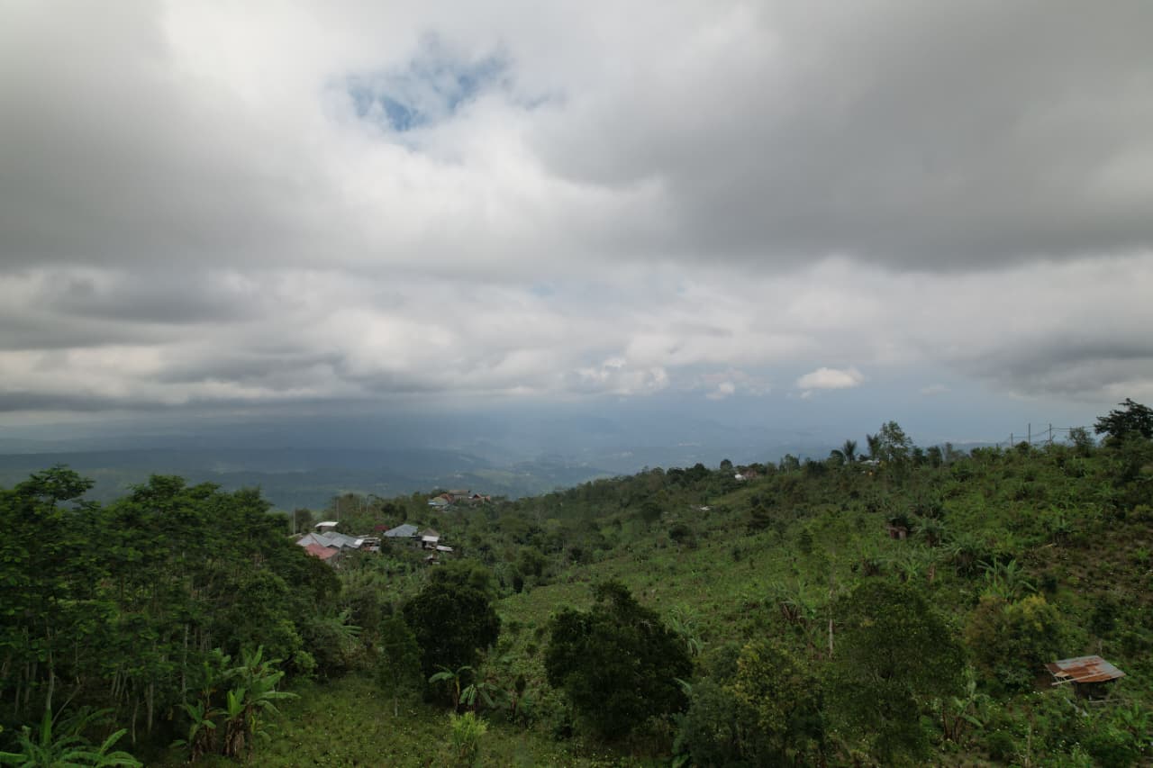 WhatsApp Image 2026 01 08 at 00.21.50