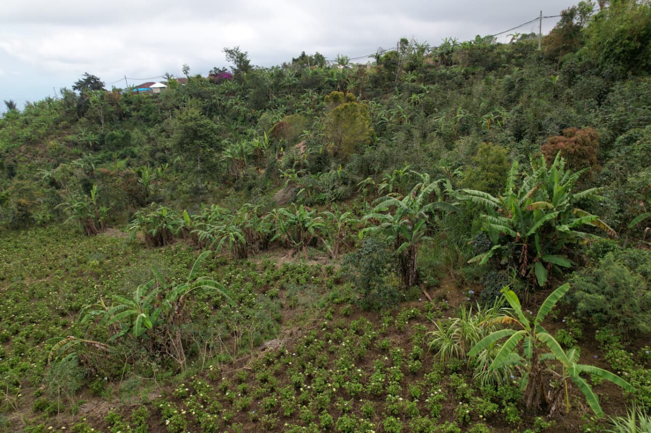 WhatsApp Image 2026 01 08 at 00.21.51 (2)