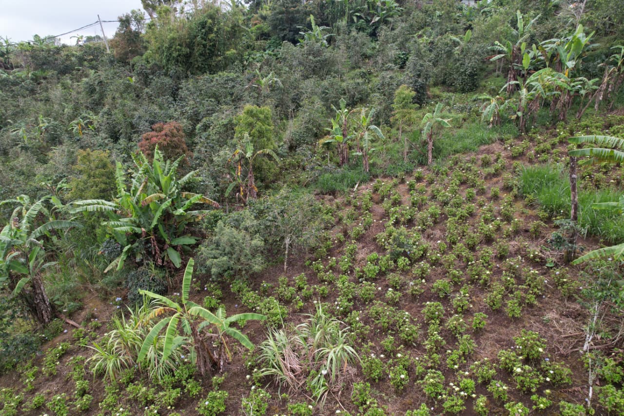 WhatsApp Image 2026 01 08 at 00.21.51