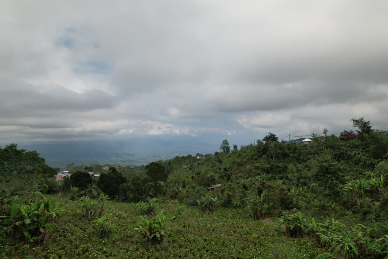 WhatsApp Image 2026 01 08 at 00.21.52