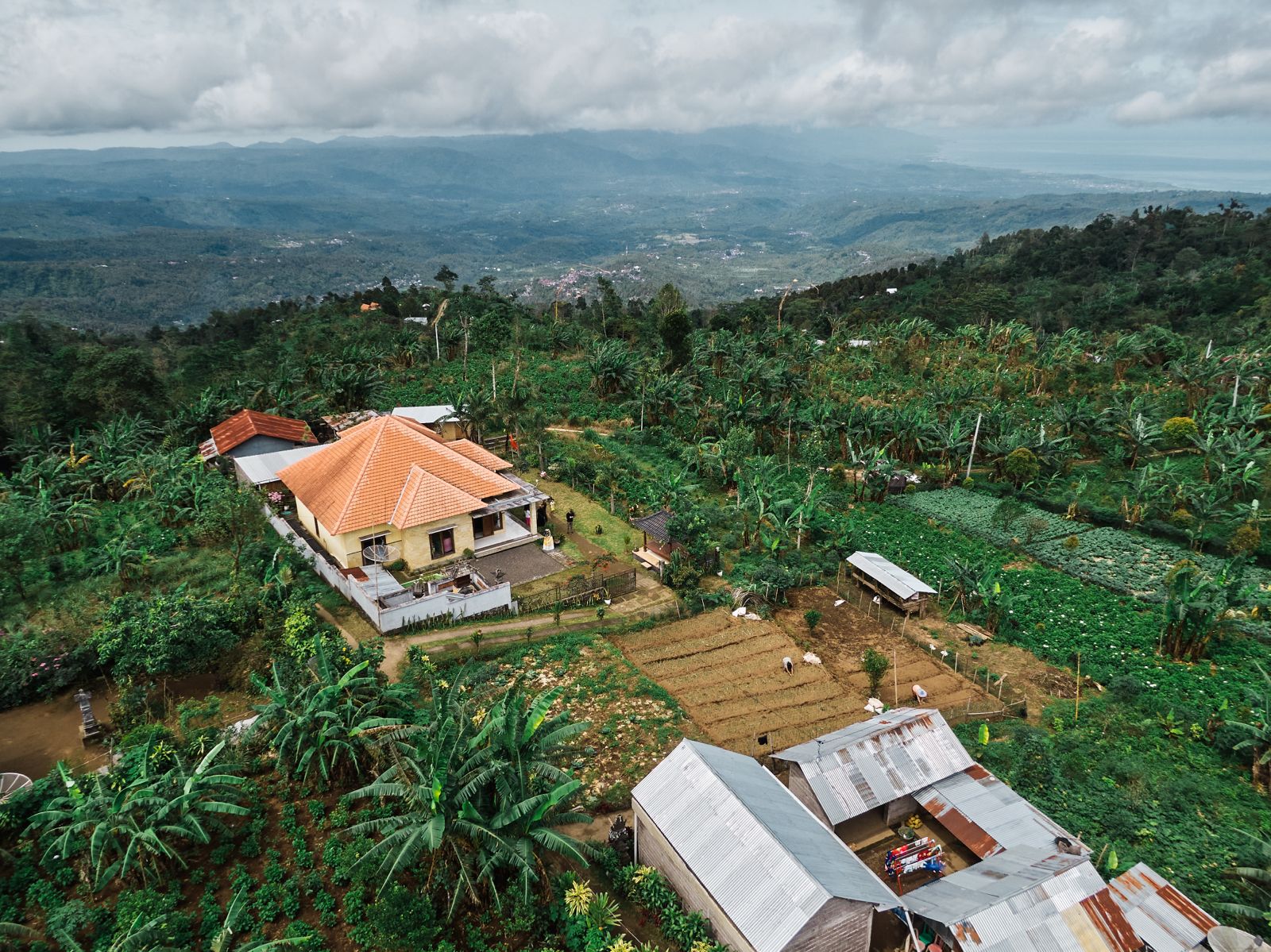 WhatsApp Image 2026 03 15 at 18.17.52 (2)