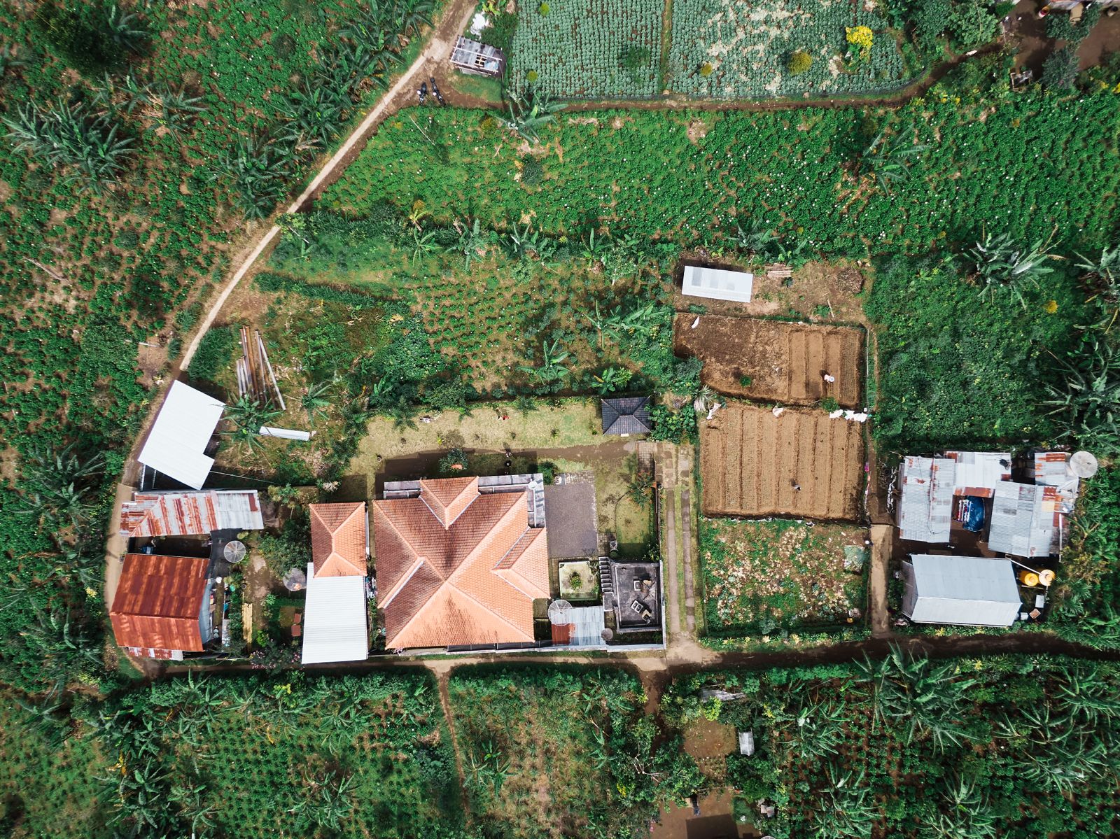 WhatsApp Image 2026 03 15 at 18.17.52