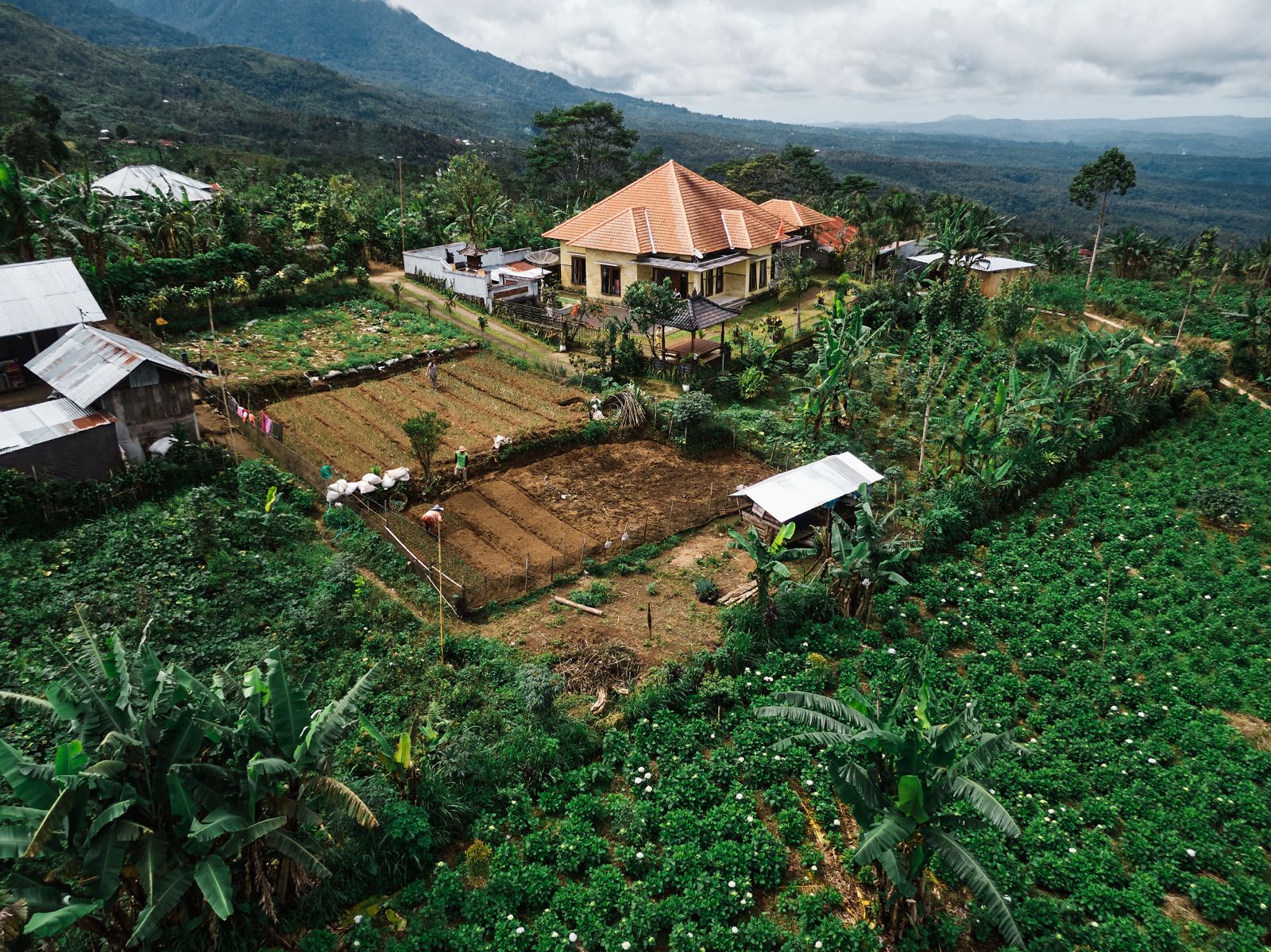 WhatsApp Image 2026 03 15 at 18.17.53 (1)