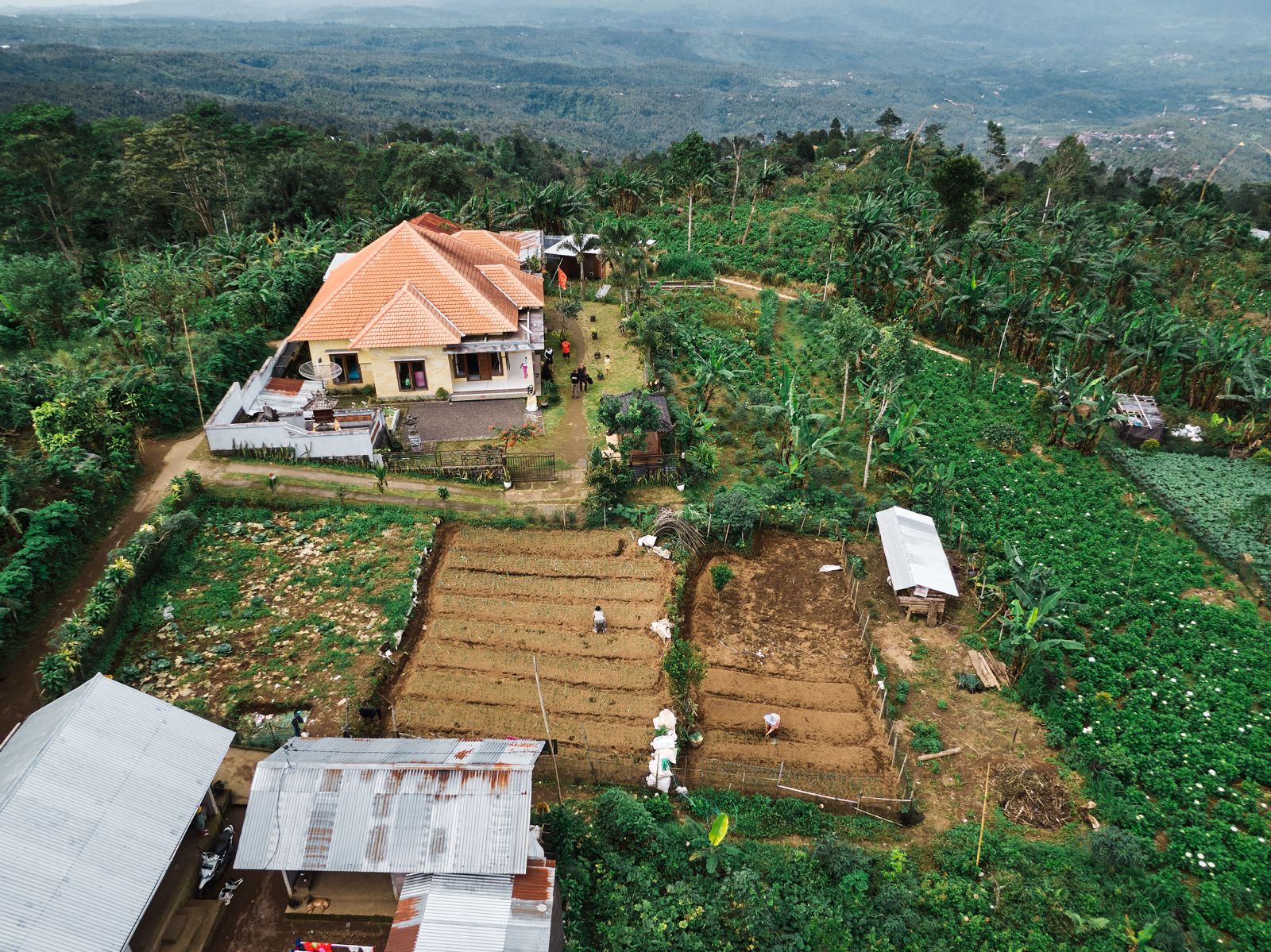 WhatsApp Image 2026 03 15 at 18.17.53