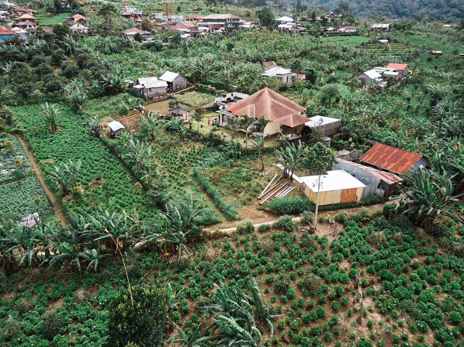 WhatsApp Image 2026 03 15 at 18.17.54