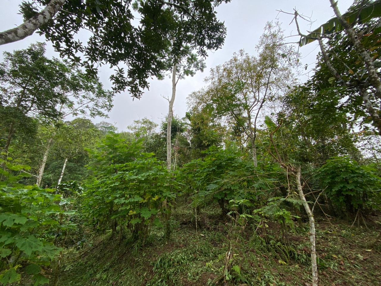 WhatsApp Image 2026 05 07 at 18.30.13 (2)